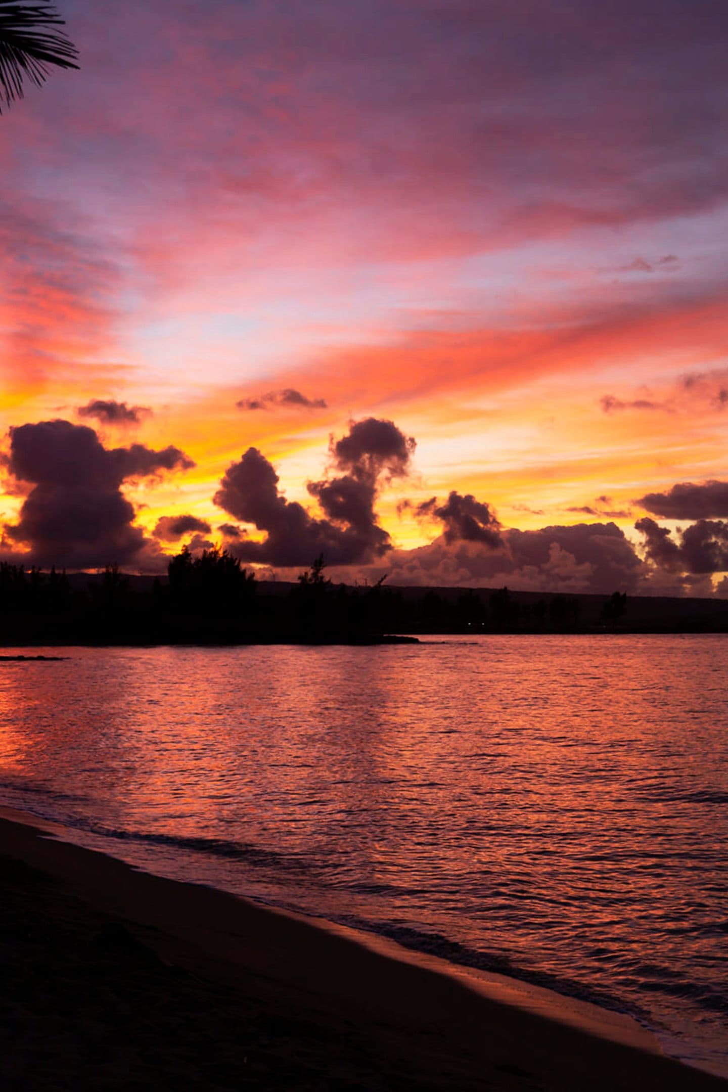 Life across the islands
